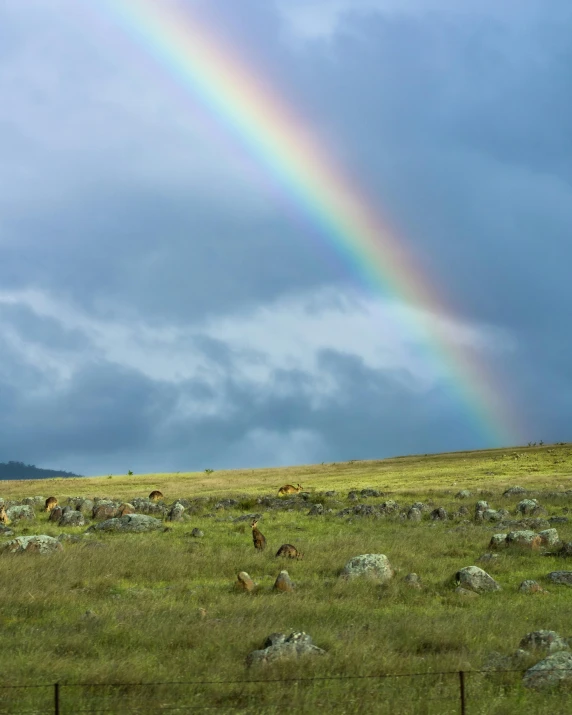 a rainbow is in the sky over a field, by Jessie Algie, unsplash, land art, straya, rocky meadows, grazing, highlands