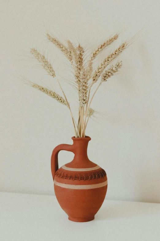 a close up of a vase with a plant in it, a still life, reddit, folk art, wheat field, clay material, ecommerce photograph, red ocher