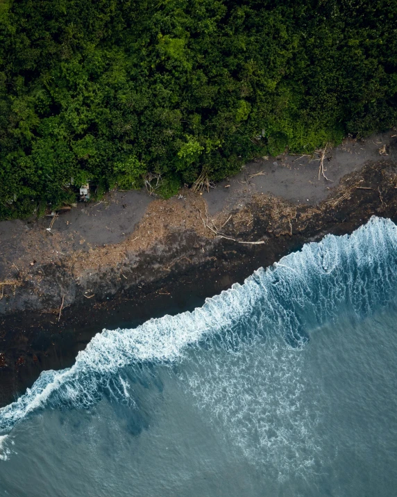 a large body of water next to a forest, by Dan Scott, pexels contest winner, hurufiyya, ocean waves, close-up from above, black sand, slide show