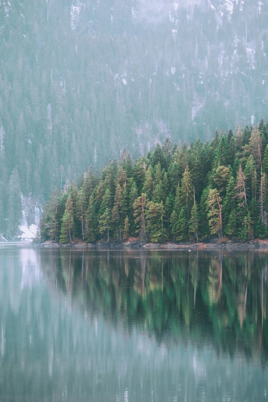 a large body of water surrounded by trees, inspired by Elsa Bleda, pexels contest winner, fir trees, british columbia, muted green, high quality photo