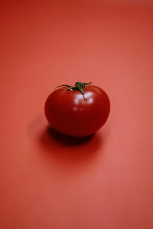 a tomato sitting on top of a red surface, by Greg Rutkowski, pexels contest winner, soft shade, made of food, 15081959 21121991 01012000 4k, plain background