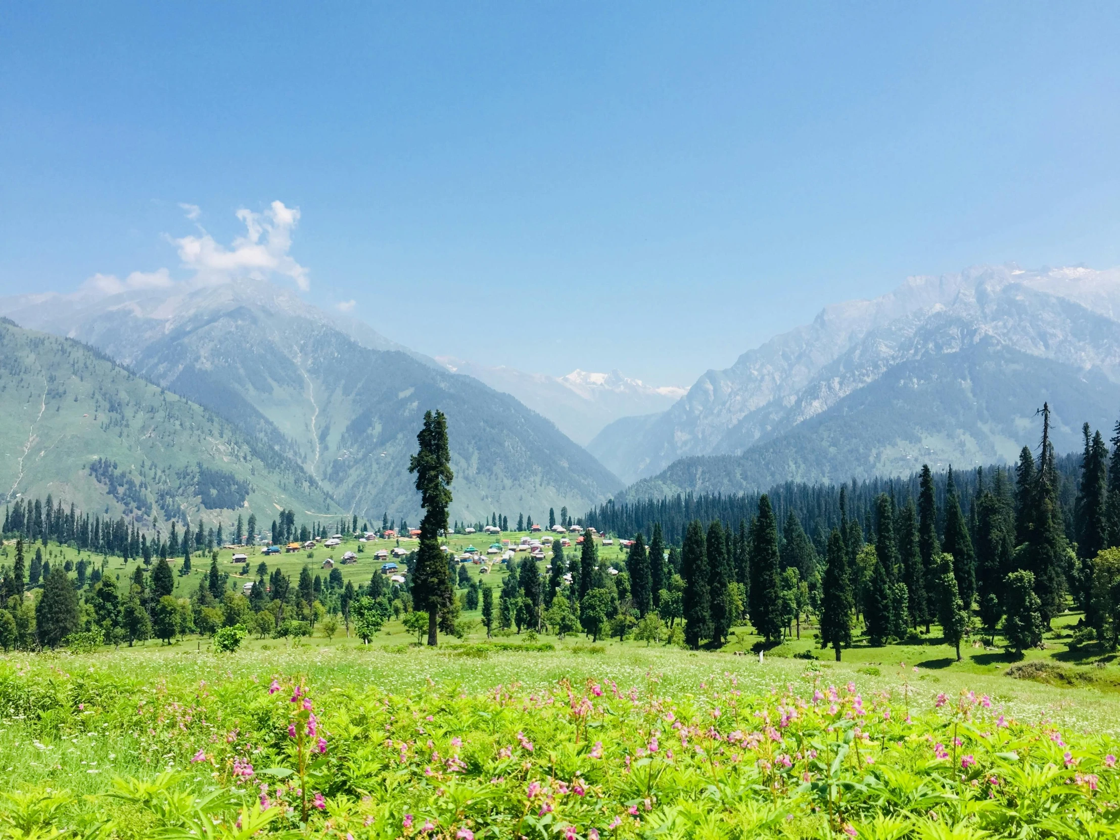 a field of flowers with mountains in the background, by Julia Pishtar, pexels contest winner, hurufiyya, india, cypresses, clear blue skies, multiple stories