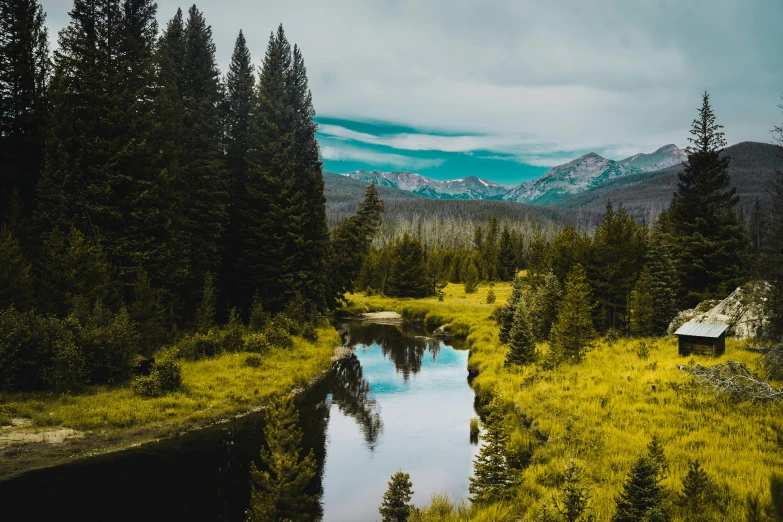 a river running through a lush green forest, pexels contest winner, hurufiyya, wyoming, overlooking a vast serene forest, on a canva, pine forests