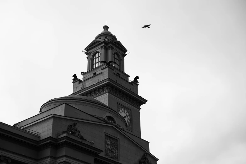 a black and white photo of a clock tower, by Adam Rex, birds in flight, churches, 8k 50mm iso 10, khreschatyk