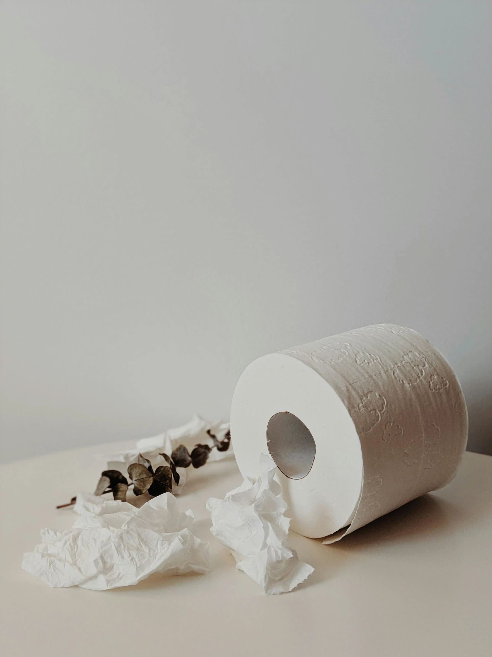 a roll of toilet paper sitting on top of a table, by Ivana Kobilca, botanical, profile image, white wall, jasmine