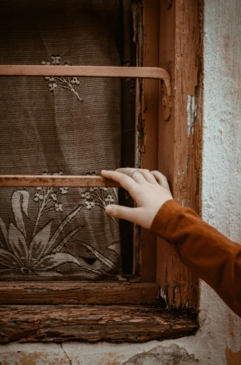 a close up of a person reaching out of a window, a silk screen, by Elsa Bleda, pexels contest winner, arts and crafts movement, brown flowers, wood door, childhood, cobwebs