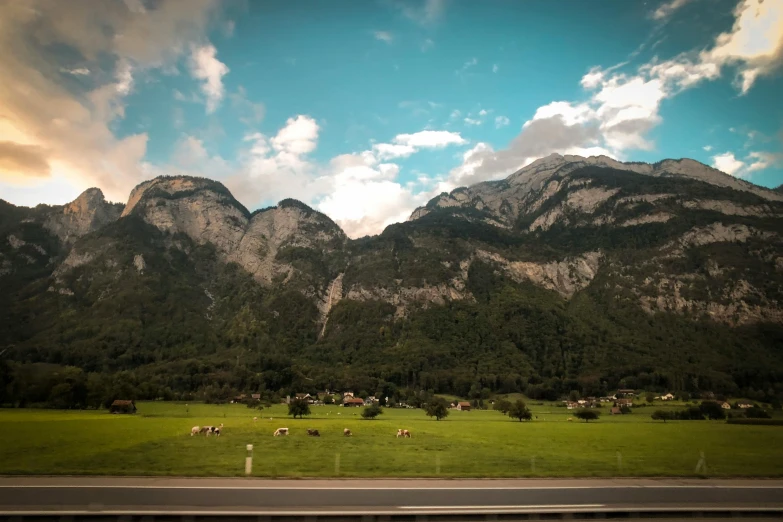 a herd of cattle grazing on a lush green field, by Sebastian Spreng, unsplash, visual art, mountains and a huge old city, highway, distant mountains lights photo