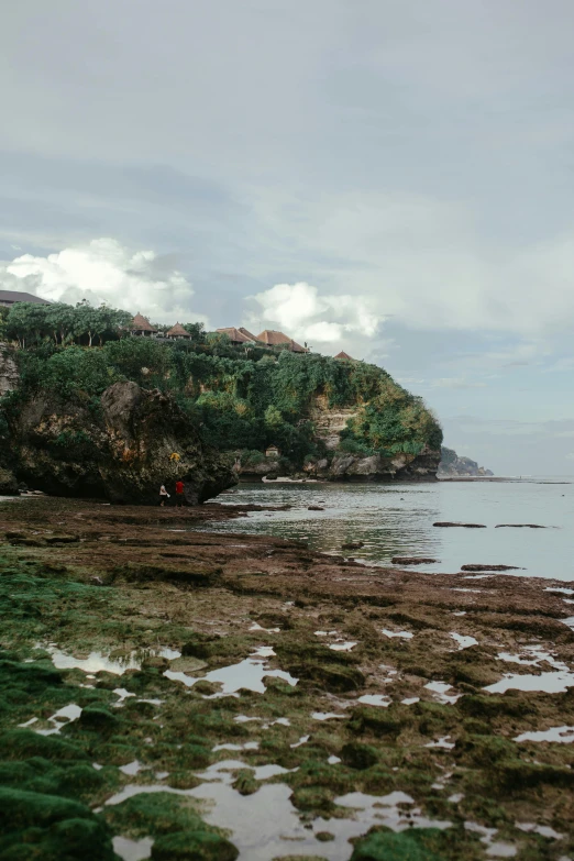 a large body of water next to a lush green hillside, a picture, inspired by Thomas Struth, unsplash, mingei, rocky beach, bali, color image, photo taken on fujifilm superia