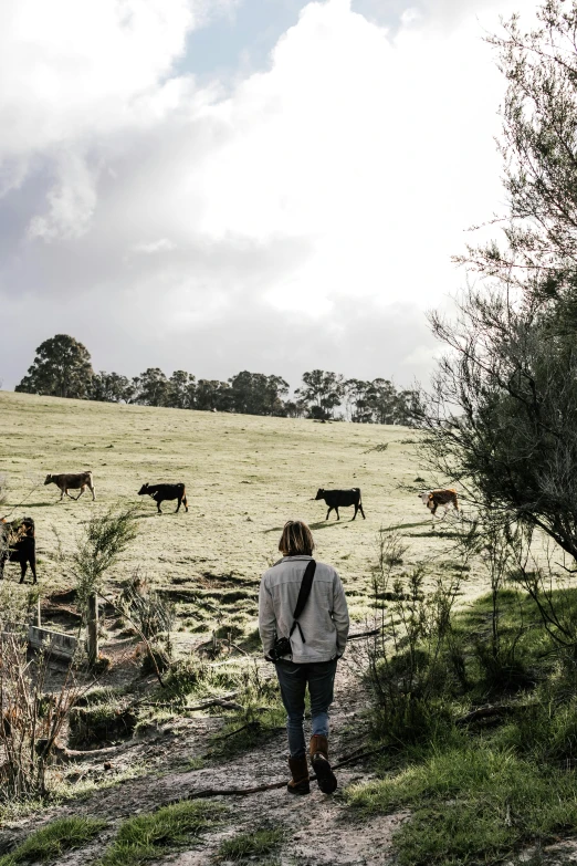 a woman walking down a dirt road past a herd of cattle, inspired by Russell Drysdale, wilderness ground, photo taken in 2018, “ iron bark, overlooking