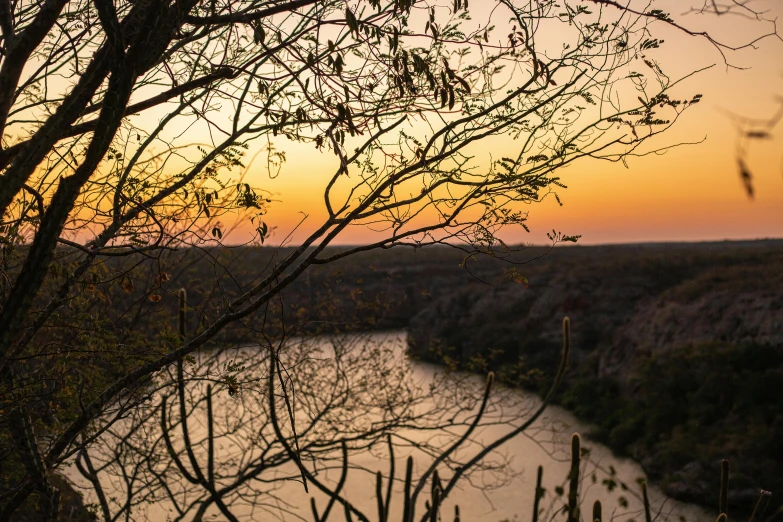a large body of water sitting next to a forest, by Peter Churcher, pexels contest winner, sunset in the desert, looking down a cliff, bushveld background, overhanging branches