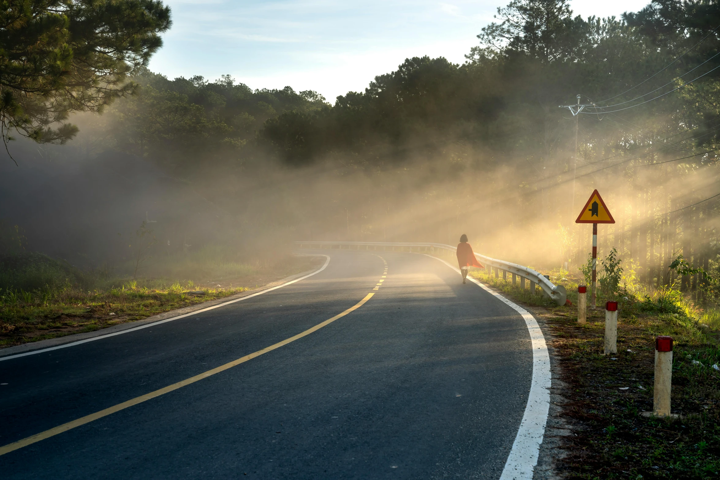 a person walking down a road on a foggy day, by Eglon van der Neer, pexels contest winner, golden hour 8 k, in australia, jamaica, avatar image