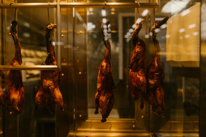 a bunch of meat hanging from a rack in a kitchen, pexels contest winner, hurufiyya, inside in a glass box, duck, very crispy, slightly turned to the right