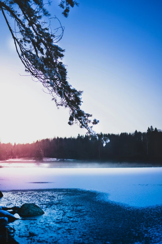 a large body of water next to a forest, inspired by Jaakko Mattila, unsplash contest winner, winter sun, overhanging branches, cold blue light, today\'s featured photograph 4k