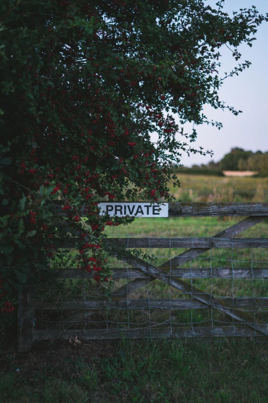 a wooden gate sitting next to a lush green field, unsplash, private press, sign, late summer evening, hedge, profile image