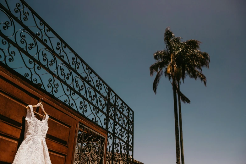 a wedding dress hanging on a fence in front of a palm tree, pexels contest winner, arabesque, tall door, blue skies, honey birdette, te pae