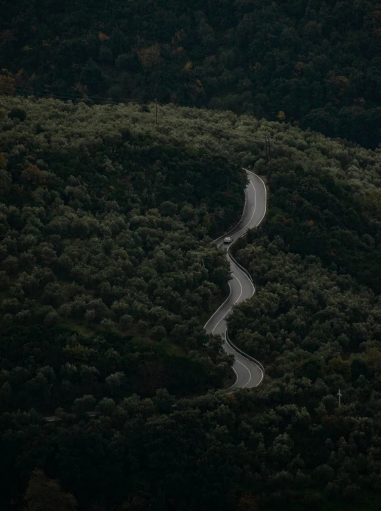 a winding road in the middle of a forest, by Adam Szentpétery, unsplash contest winner, cut into the side of a mountain, profile image, hedges, vehicle