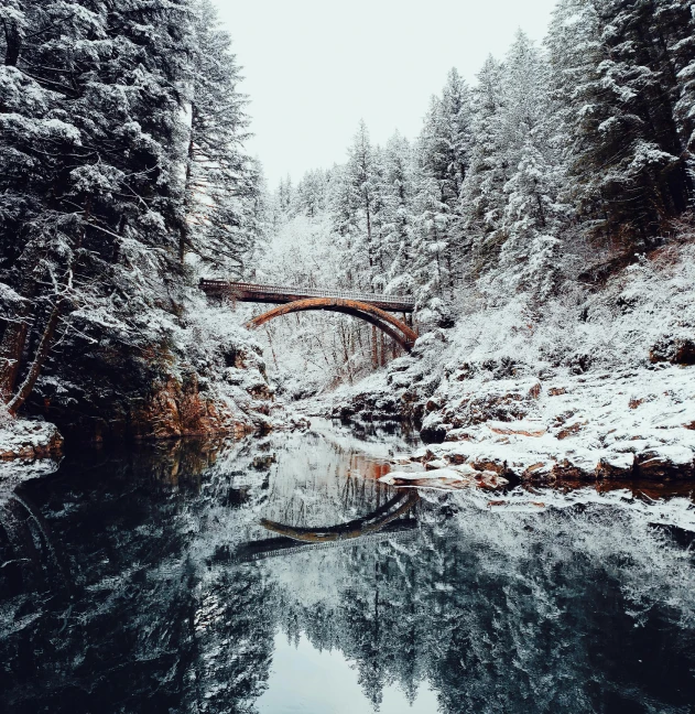 a bridge over a river surrounded by snow covered trees, by Jessie Algie, pexels contest winner, hurufiyya, water mirrored water, in between a gorge, a cozy, carson ellis