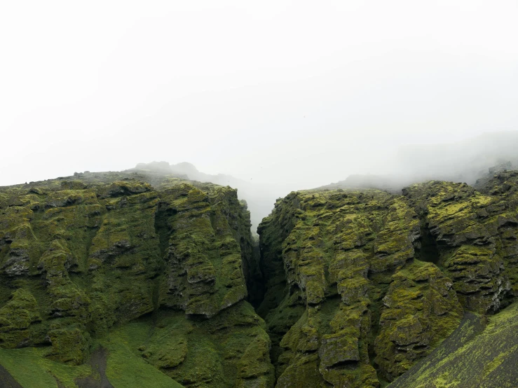 a herd of sheep standing on top of a lush green hillside, a matte painting, by Þórarinn B. Þorláksson, pexels contest winner, hurufiyya, looking down a cliff, under a gray foggy sky, panoramic view, deep crevices of stone