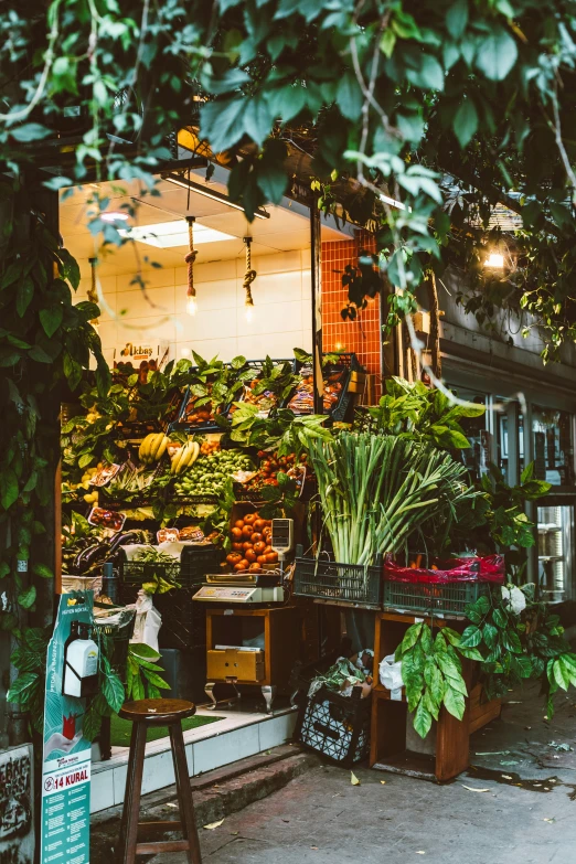 a man standing in front of a fruit and vegetable stand, pexels contest winner, renaissance, rich vines and verdant flowers, modern lush condo as shopfront, panoramic shot, evening lighting