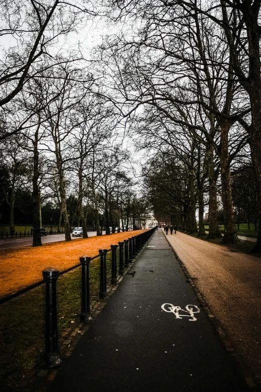 a bike path in the middle of a park, inspired by Thomas Struth, unsplash, vibrant but dreary orange, 👰 🏇 ❌ 🍃, today\'s featured photograph 4k, kings row in the background