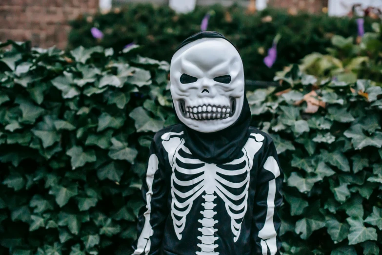 a person wearing a skeleton mask standing in front of a bush, a cartoon, pexels, kid, wearing a fancy dress, white bones, sid