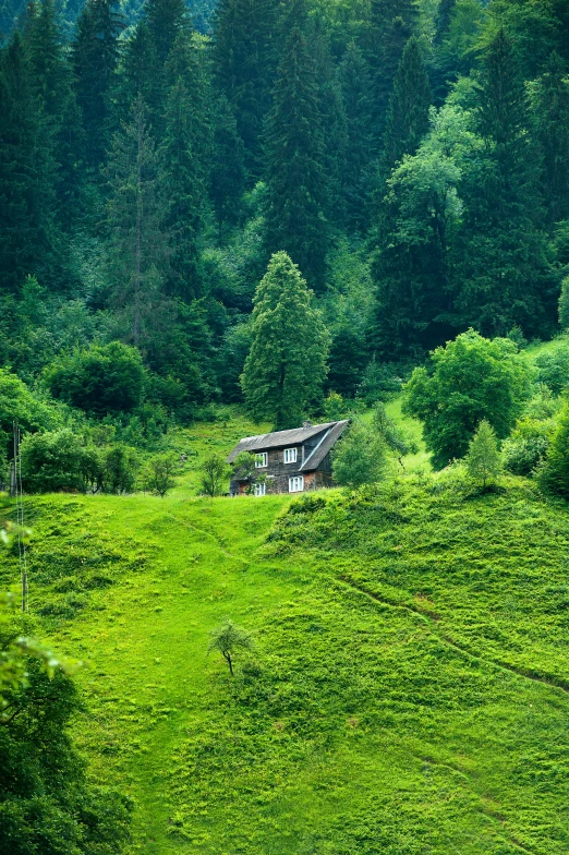 a house sitting on top of a lush green hillside, pexels contest winner, black forest, hut, deep green, grazing