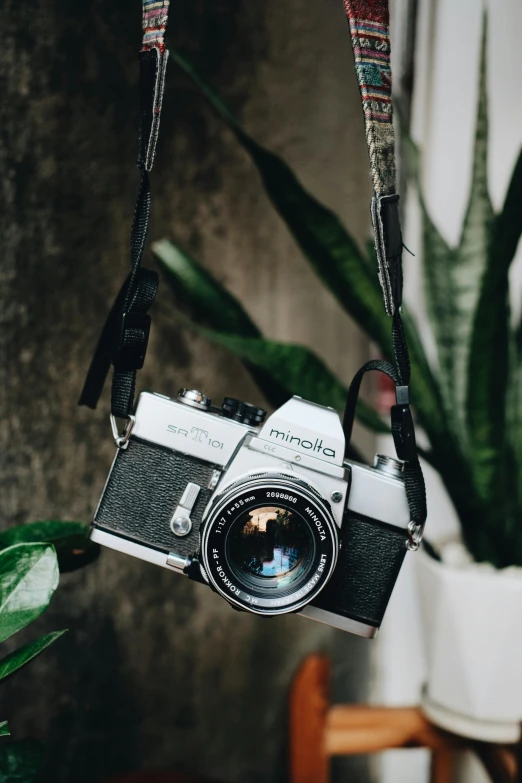 a camera sitting on top of a table next to a potted plant, unsplash contest winner, photorealism, vintage soft grainy, amongst foliage, close up dslr photo, medium format