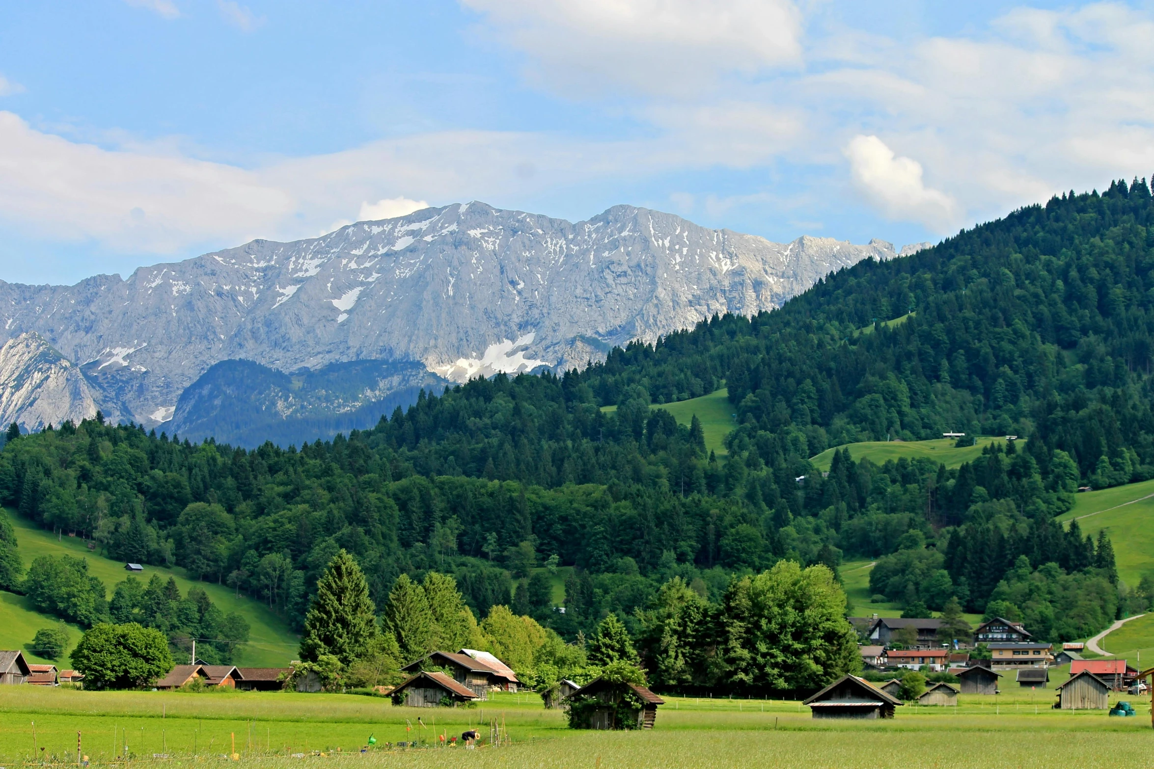 a herd of cattle grazing on top of a lush green field, by Caroline Mytinger, pexels contest winner, log cabin beneath the alps, avatar image