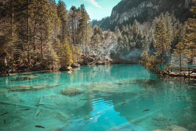 a large body of water surrounded by trees, a picture, by Micha Klein, pexels contest winner, hurufiyya, turquoise, ponds of water, switzerland, warm shades of blue