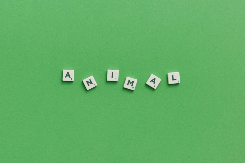 scrabbles spelling i am a on a green background, by Emma Andijewska, trending on pexels, visual art, miniature animal, abnormal, knolling, 2 animals