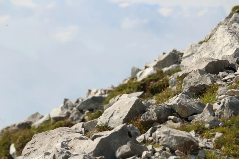 a sheep standing on top of a rocky hillside, an album cover, by Niko Henrichon, unsplash, many small stones, background image, ((rocks)), mount olympus