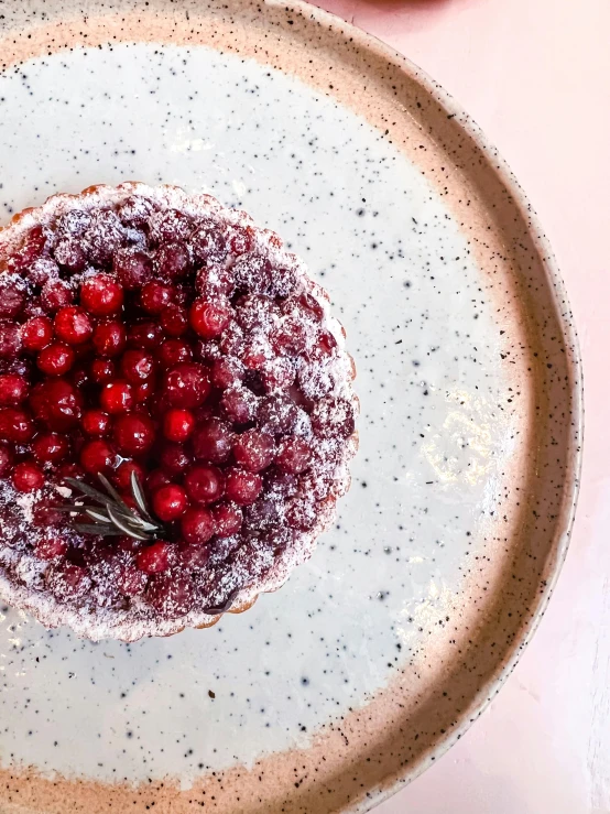 a white plate topped with cranberries and powdered sugar, by Anna Haifisch, trending on unsplash, 2 5 6 x 2 5 6 pixels, dwell, pastry, crimson and grey color scheme