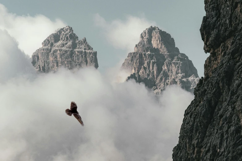 a bird that is flying in the sky, a matte painting, by Alessandro Allori, pexels contest winner, craggy mountains, dolomites in background, grey, hawk wings