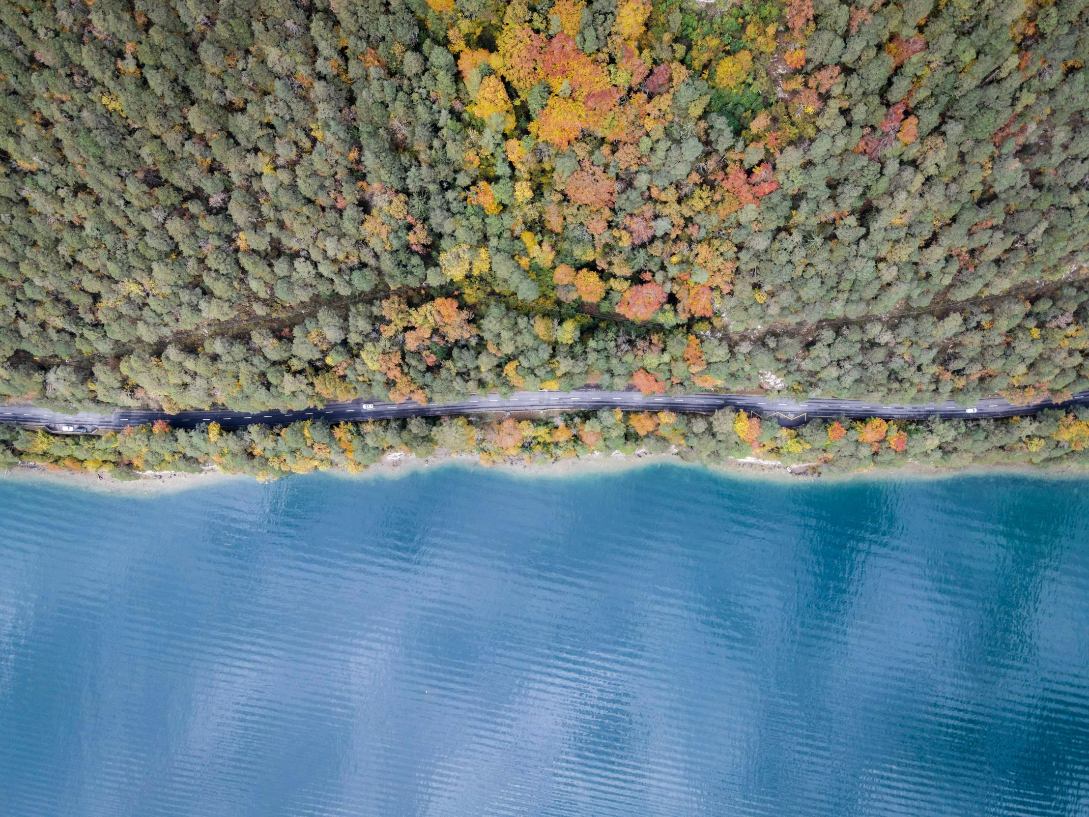 a large body of water surrounded by trees, by Sebastian Spreng, unsplash contest winner, close-up from above, muted colours 8 k, colorful trees, cinematic composition 8 k