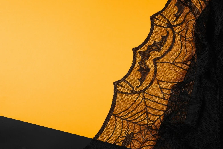 a close up of an umbrella with a spider web on it, a cartoon, trending on pexels, arabesque, black and orange colour palette, yellow translucent lace, with a long black cape, ebony rococo