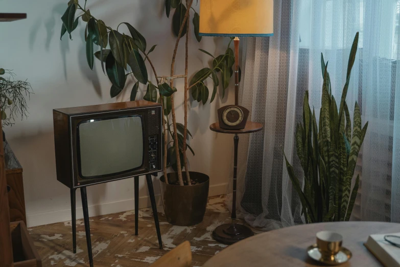 a small television sitting on top of a wooden table, inspired by Elsa Bleda, trending on pexels, video art, floor lamps, 7 0 s photo, houseplant, old retro museum exhibition