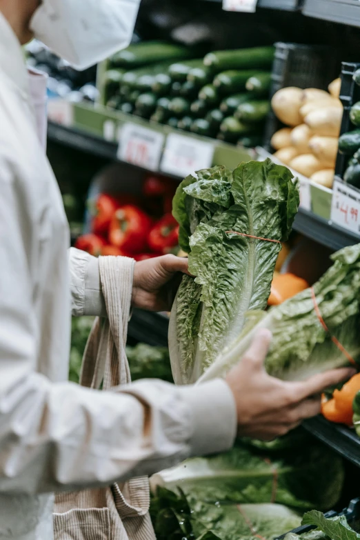 a person wearing a face mask in a grocery store, by Everett Warner, pexels, lettuce, grey vegetables, holding a 🛡 and an 🪓, subtle details