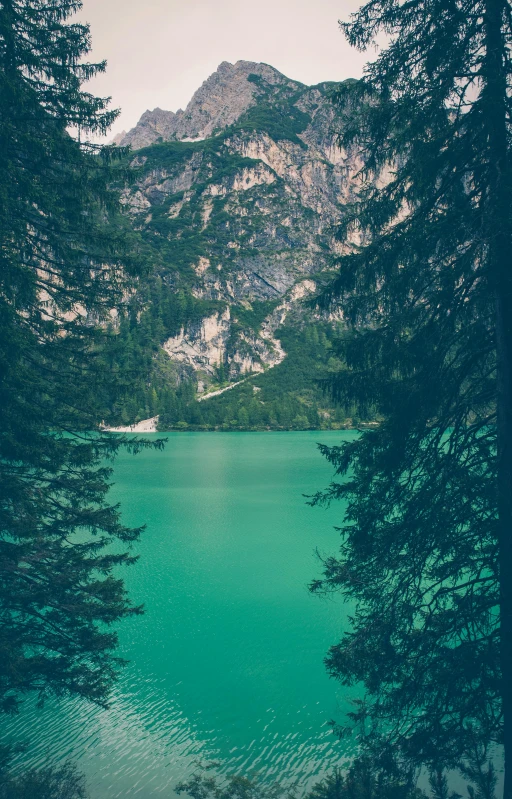 a large body of water surrounded by trees, by Sebastian Spreng, pexels contest winner, dolomites, ((greenish blue tones)), vintage vibe, jade green