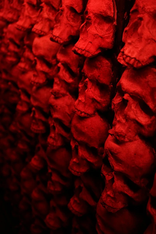 a bunch of meat hanging from the side of a wall, flickr, glowing red skull, rich red colors, thousands of teeth, photograph credit: ap