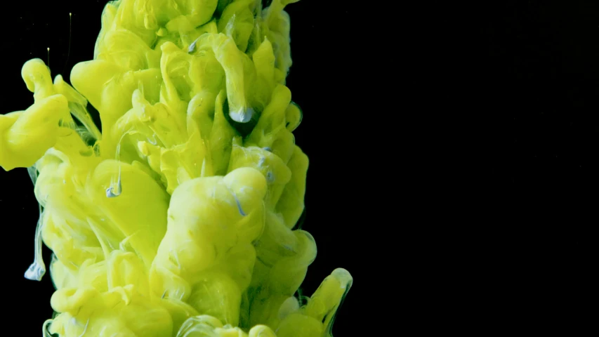 a close up of a yellow substance in water, inspired by Kim Keever, unsplash, lettuce, yellow space suit, coxcomb, a green