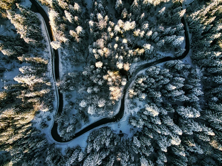 a winding road in the middle of a snowy forest, by Sebastian Spreng, unsplash contest winner, helicopter view, thumbnail, trees bent over river, brightly lit