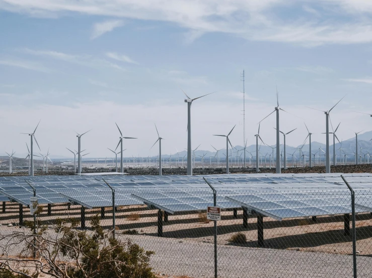 rows of solar panels with wind turbines in the background, a colorized photo, by Carey Morris, unsplash, fan favorite, palm springs, background image, a park