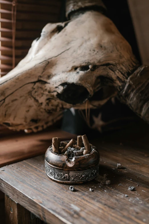 a cow skull sitting on top of a wooden table, a still life, by Elsa Bleda, unsplash contest winner, vanitas, cigars, with silver runes on it, ashtray, medium close up shot