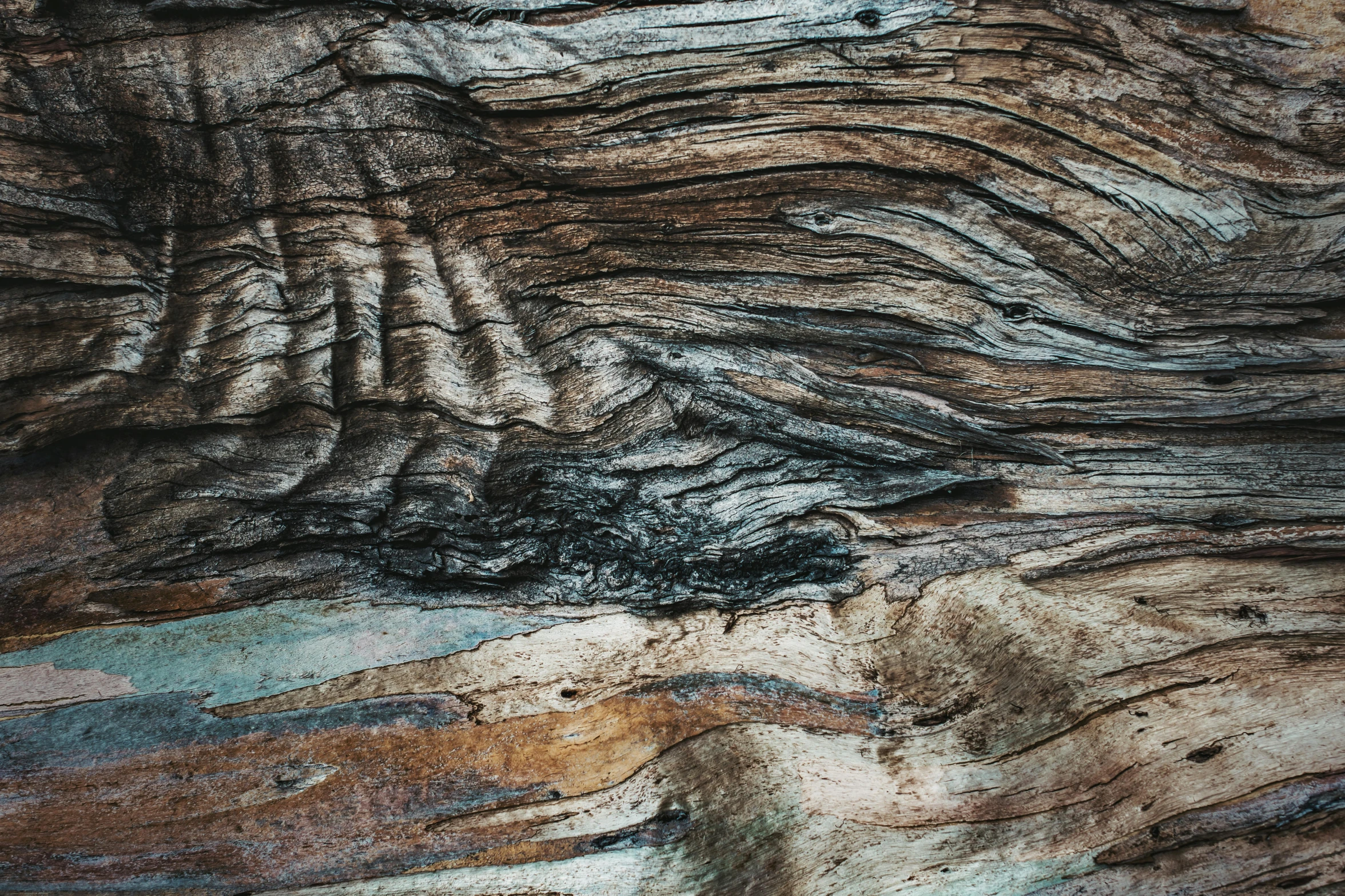 a close up of the bark of a tree, an ultrafine detailed painting, unsplash, alessio albi, colored marble, vintage color, old wood