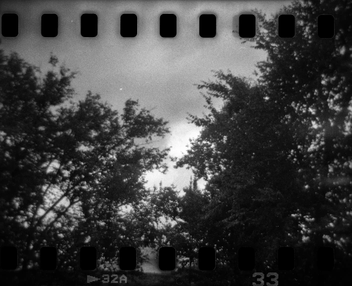 a black and white photo of some trees, inspired by Louis Faurer, super 8 mm, summer afternoon, storm outside, toy camera