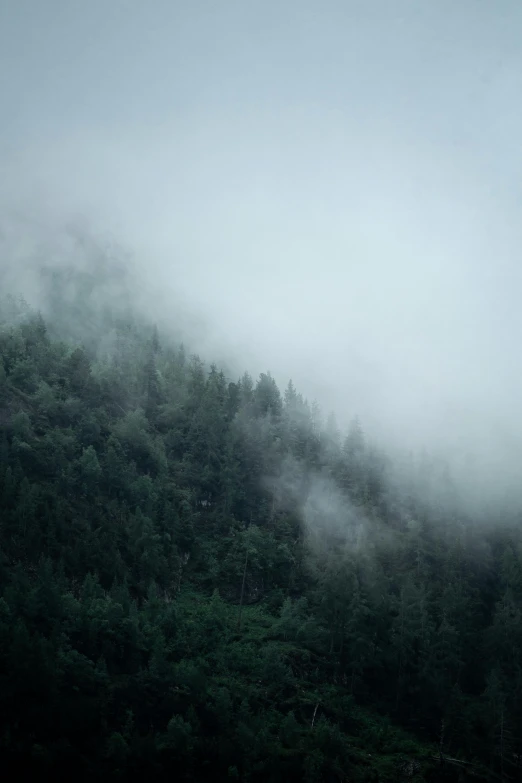 a foggy mountain with trees in the foreground, inspired by Elsa Bleda, unsplash contest winner, romanticism, muted green, made of mist, monochrome, ((forest))