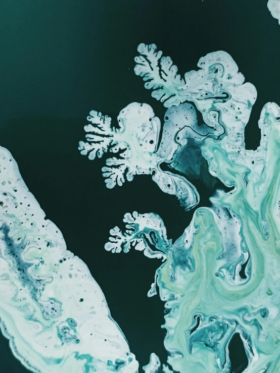 a group of algae floating on top of a body of water, inspired by Earnst Haeckel, trending on unsplash, generative art, ice color scheme, oil on canvas high angle view, (snow), promo image