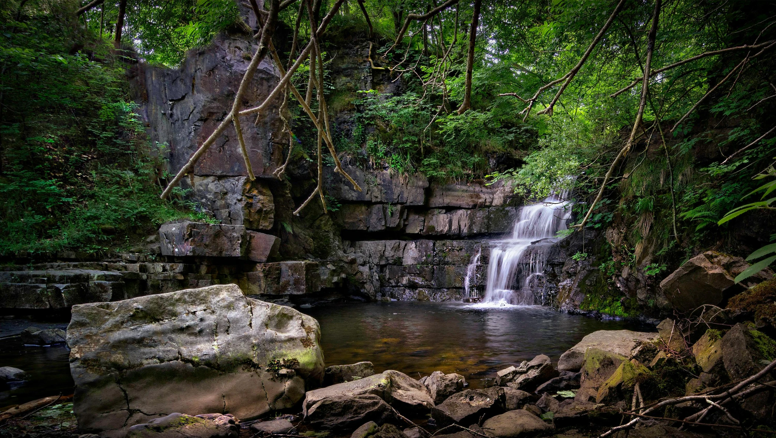 a waterfall flowing through a lush green forest, a photo, yorkshire, rocky cliff, rock pools, built into trees and stone
