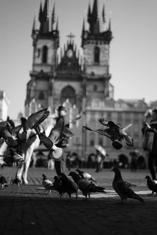 a black and white photo of pigeons in front of a church, by Gusztáv Kelety, pexels contest winner, baroque, in a square, running freely, city square, in 2 0 1 2