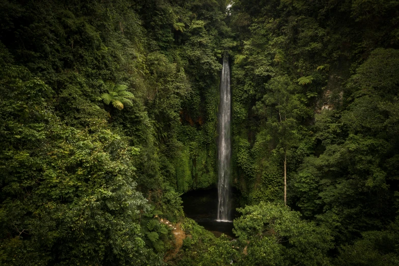 a waterfall in the middle of a lush green forest, by Andrew Geddes, pexels contest winner, sumatraism, tall entry, new zeeland, fine art print, coban